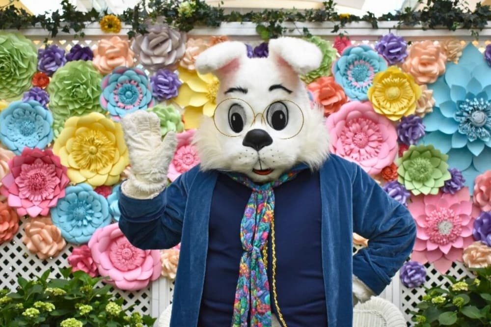 Brunch, egg hunts: 6 Easter events to attend around Houston
