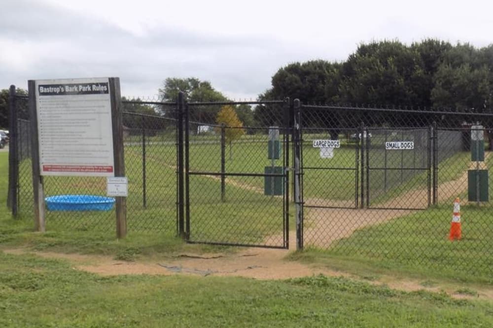 Gates separate the large and small dog areas. A small pool is also shown inside the gate.