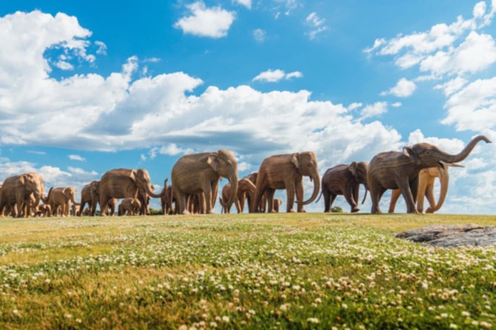 Herd of 100 elephant sculptures on display at Hermann Park through April