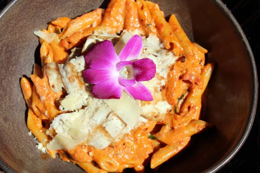 Penne pasta with pink sauce topped with chicken and fuchsia flower. 