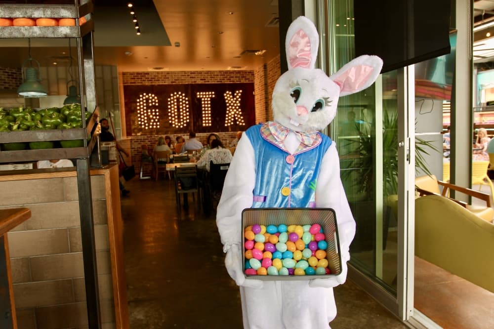 Bunny