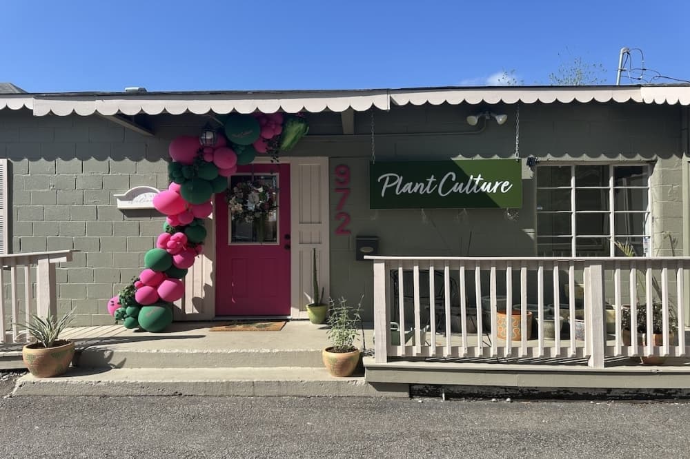 Plant Culture relocates in New Braunfels