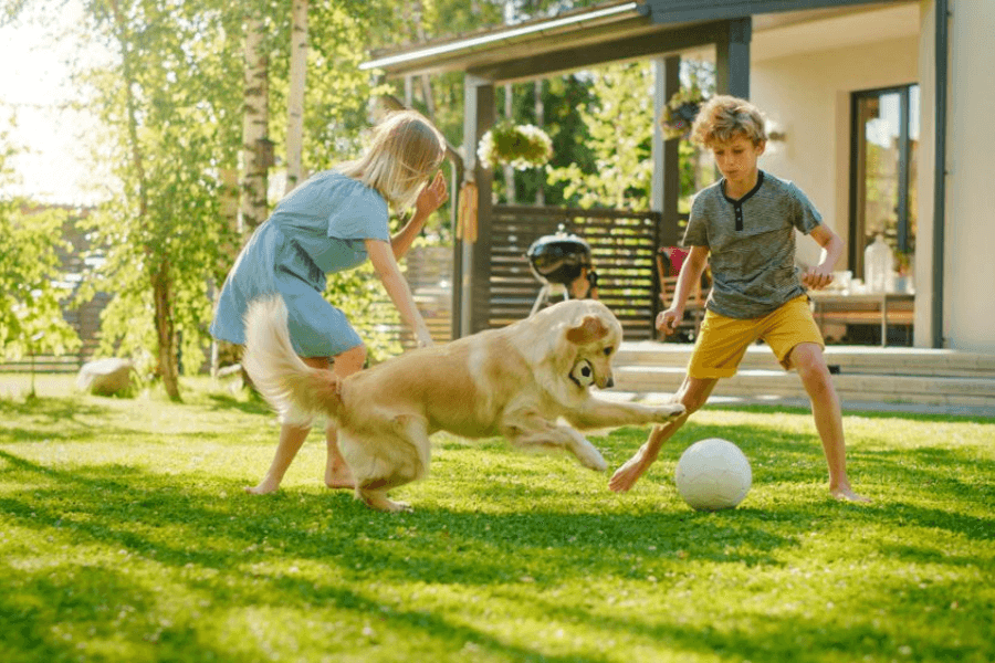 Heroes Lawn Care now hiring passionate individuals to provide eco-friendly lawn care in Bellaire