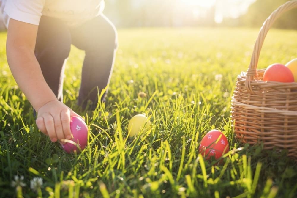 4 events to attend in Conroe this weekend, April 19-20
