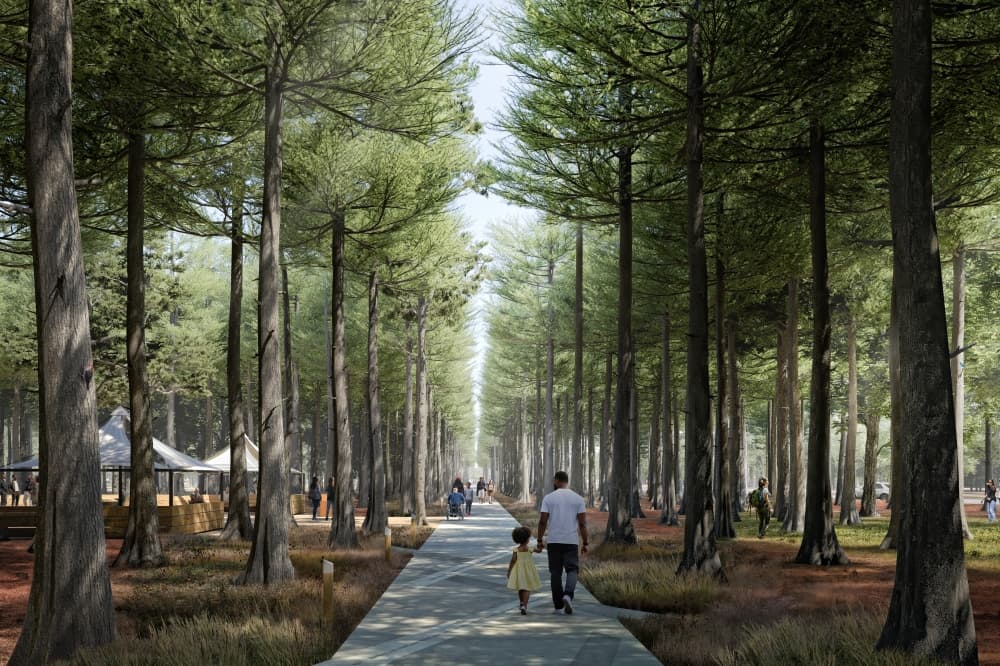 Memorial Park Conservancy unveils $42M plan for 'poetic re-imagining' of 100 acres along West Memorial Loop Drive