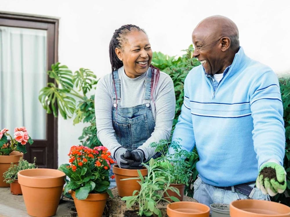 Grow your savings safely with financial resources from United Texas Credit Union