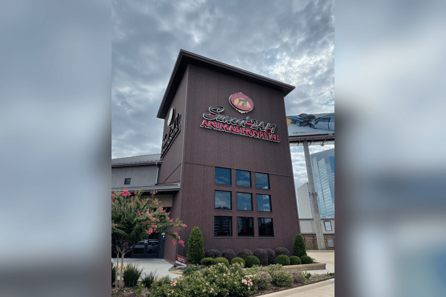 From checkups to crisis: Why Houston pet owners trust Sunset 24/7 Animal Hospital