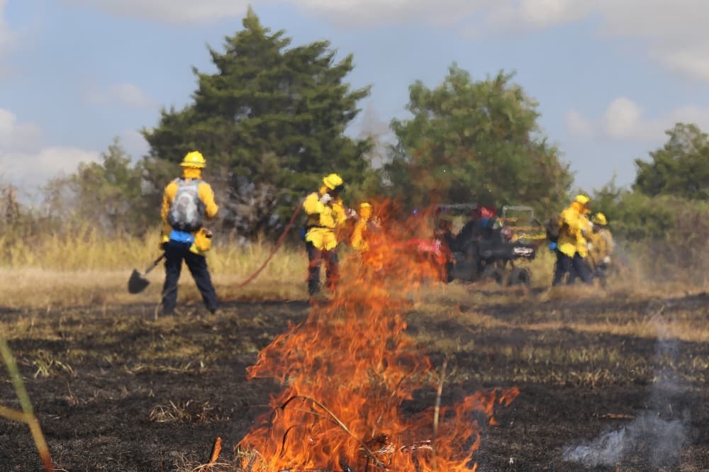 Northwest Austin works to address wildfire risk