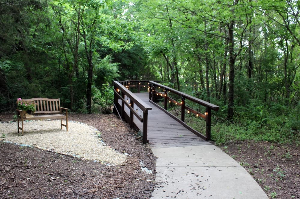 Path leading to a wooden bridge through woods. 