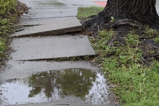 Sugar Land invests $1.4M in sidewalk rehab to address maintenance backlog