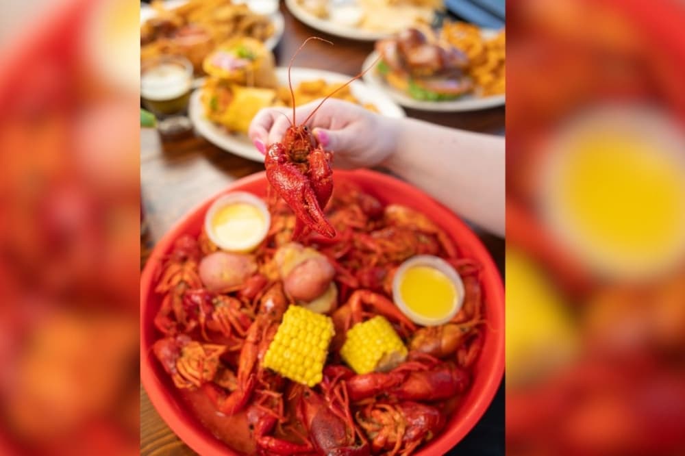 Tailgators Pub and Grill now open in Montgomery