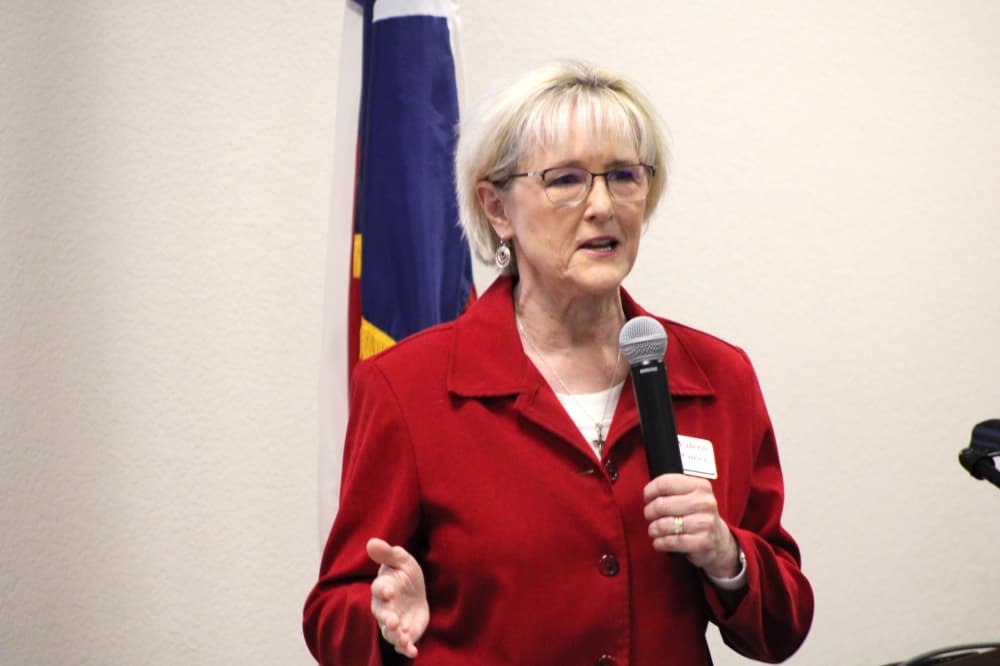 Commissioner Valerie Covey outlines major road projects expected in Georgetown, Leander