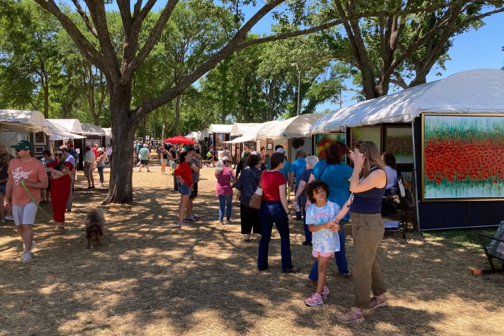 People at Cottonwood Art Festival