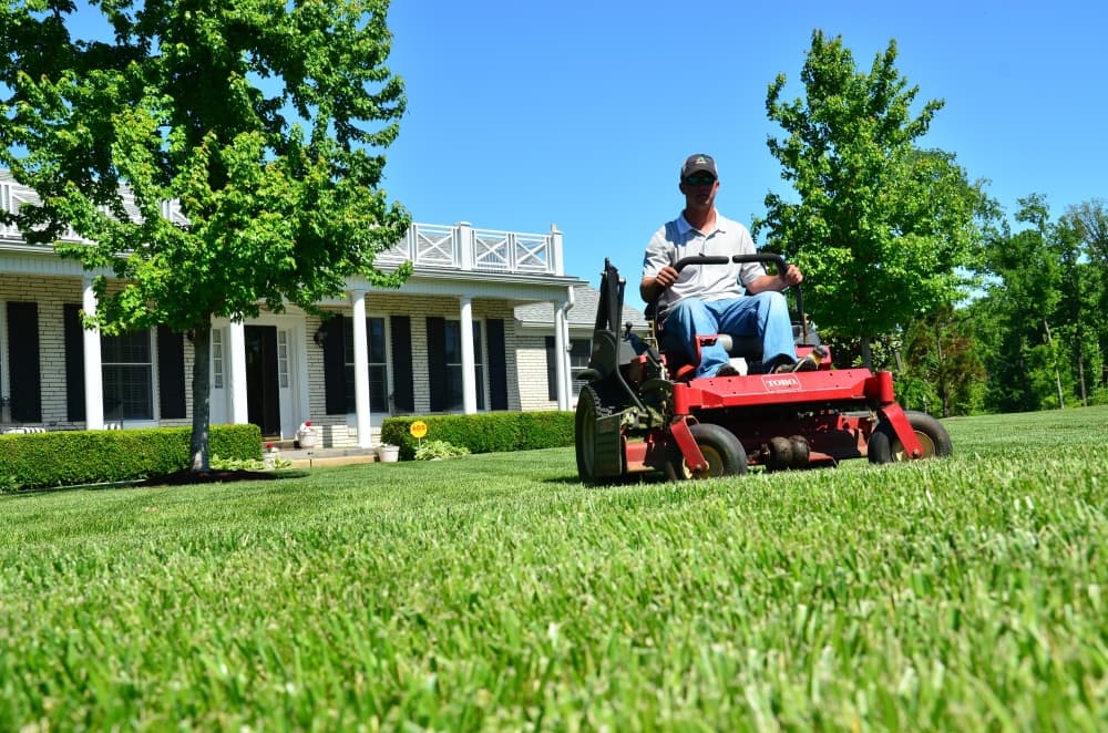 GreenPal app launches in Hutto