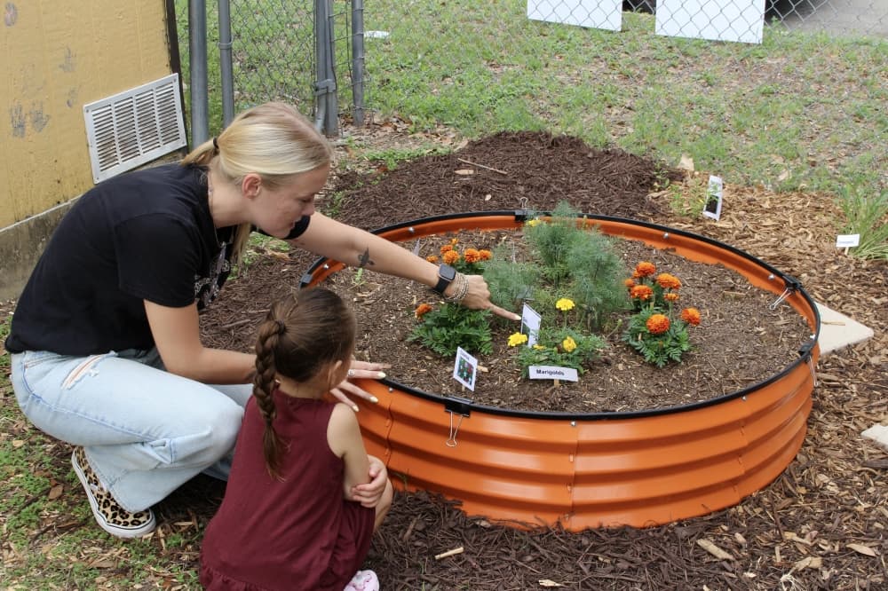A little girl and a teacher looking at plants in a garden bed.