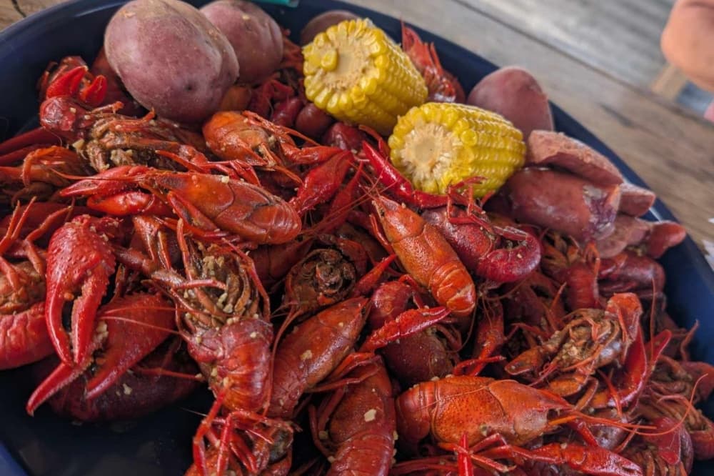 2 eateries find new homes in Bastrop, Elgin