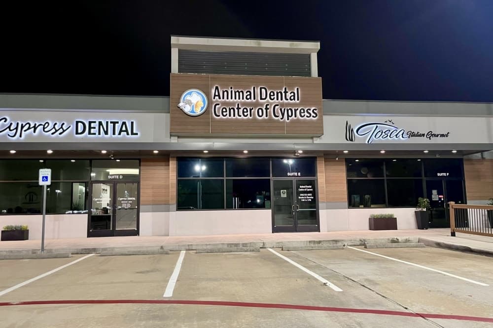 Animal Dental Center of Cypress now open