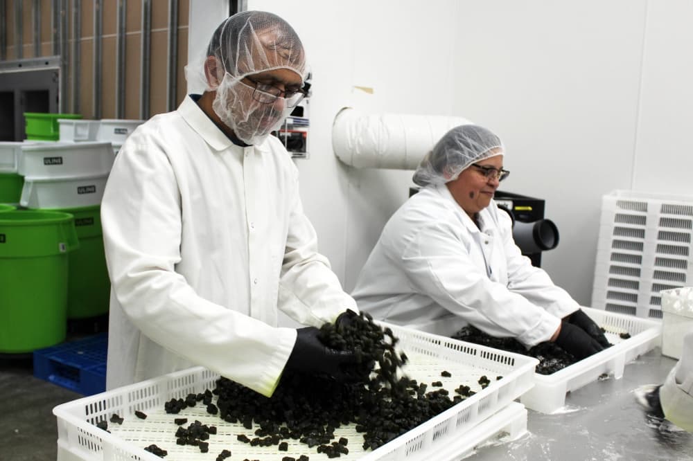 ILS Gummies operates 24/7 in a three-shift rotation. (Karen Chaney/Community Impact)
