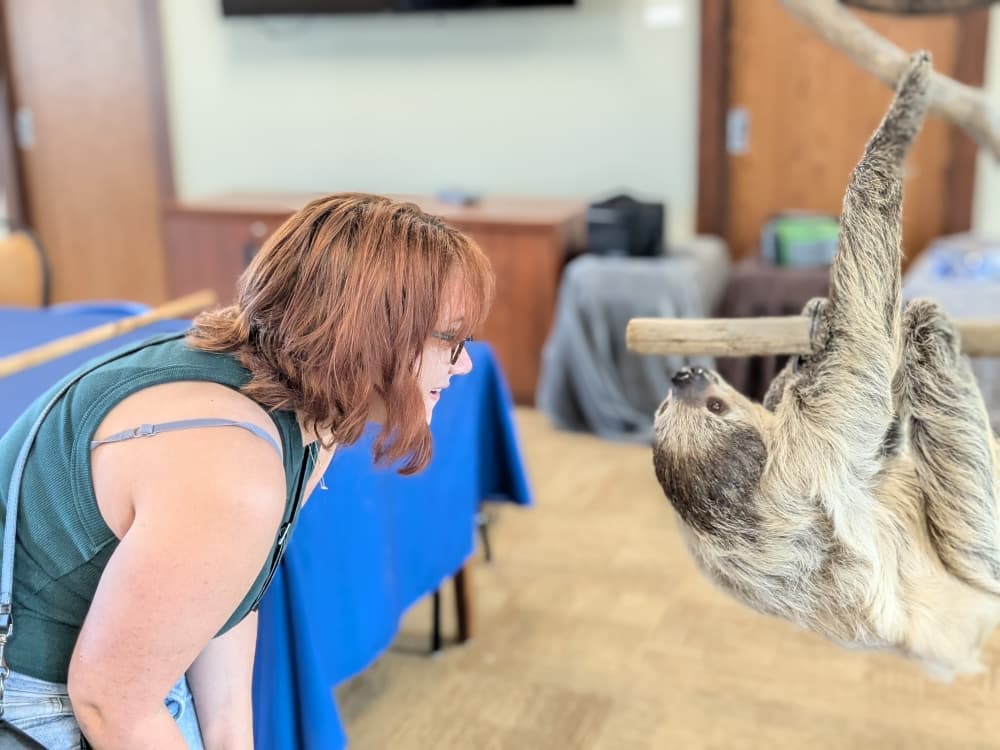 girl meeting sloth