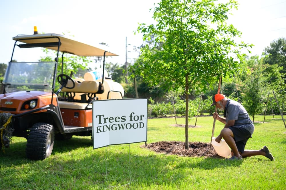 Grassroots organizations pitch in to help maintain, restore Kingwood