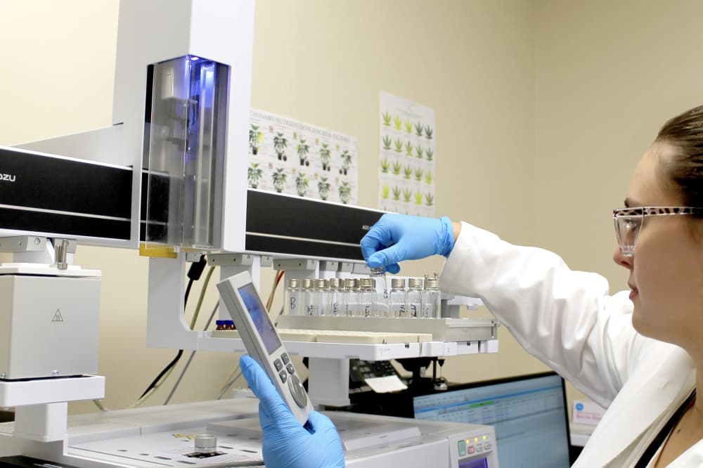 Texas tentatively approves 3 new dispensaries for medical cannabis program