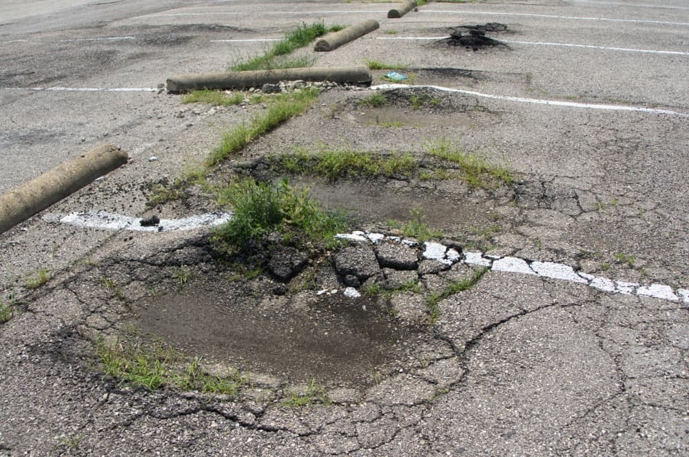 Cratered sections of the Clark Stadium Parking lot with plants growing through the cracks