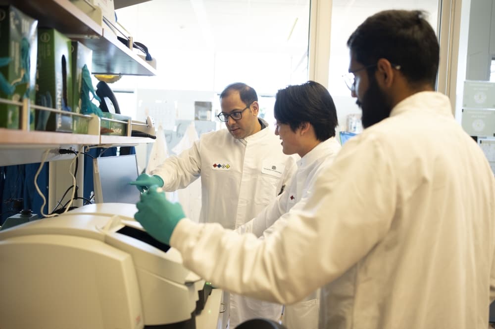 UT Dallas researchers develop light-activated cancer therapy