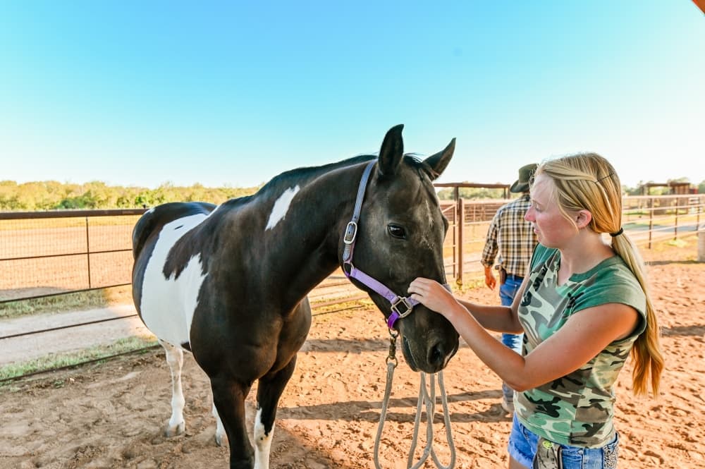 Restoration Ranch shapes healing environment for Bastrop veterans