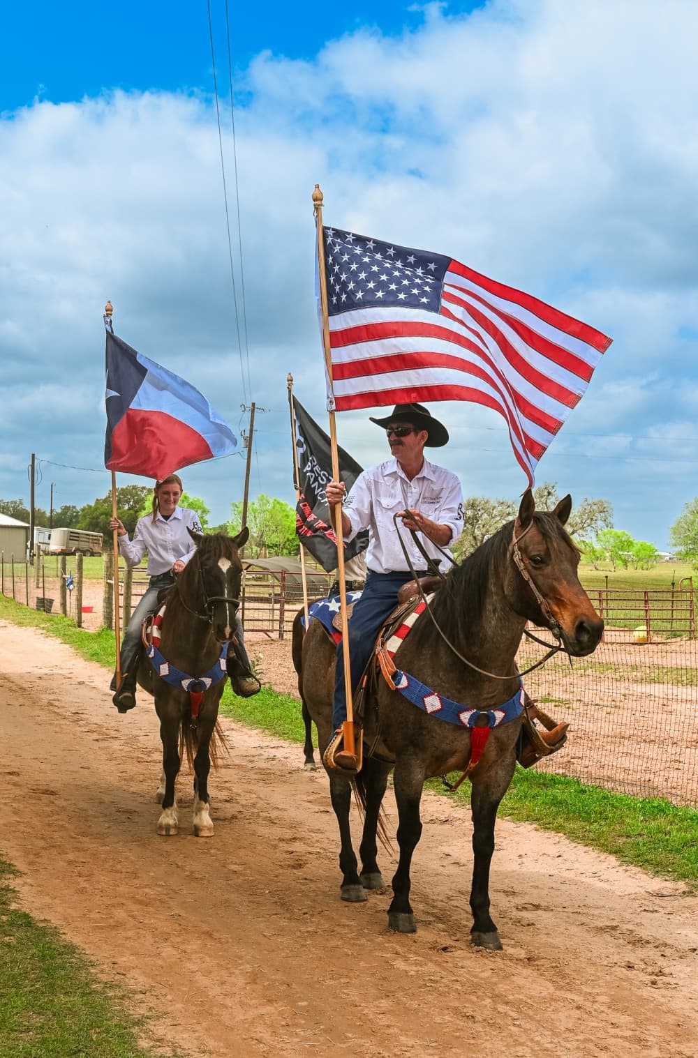 An image of some horses. 