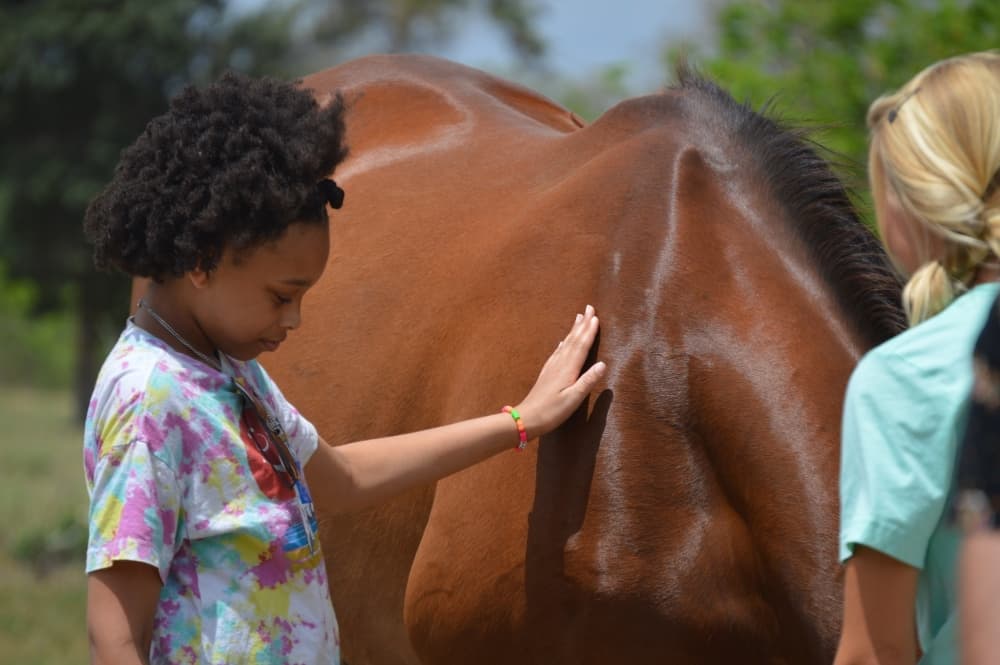 An image of a child with a horse. 