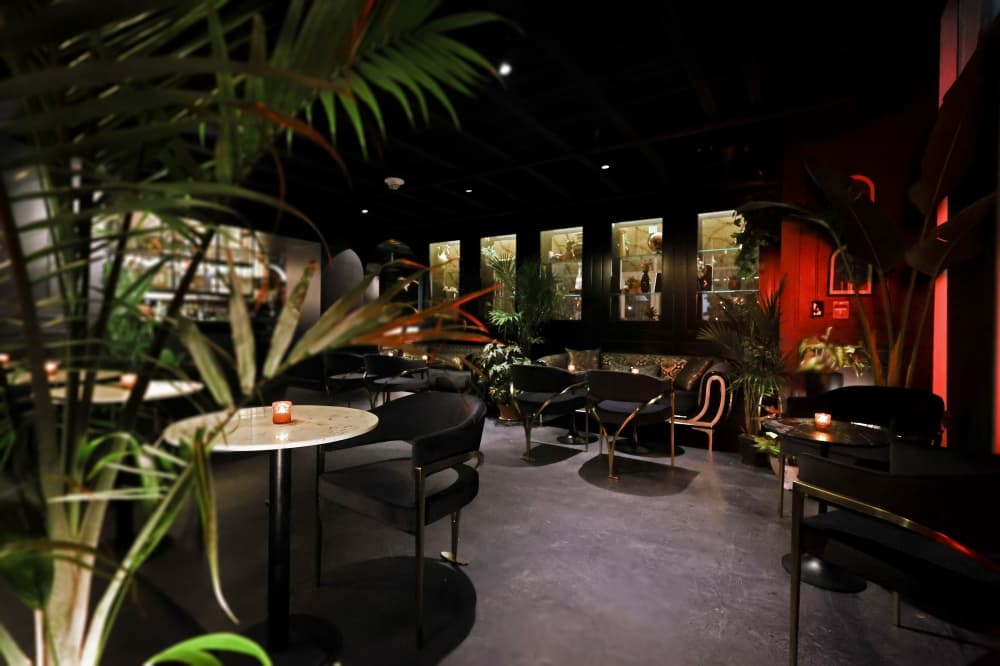 Botoníca shakes up River Oaks nightlife scene with new Latin cocktail bar
