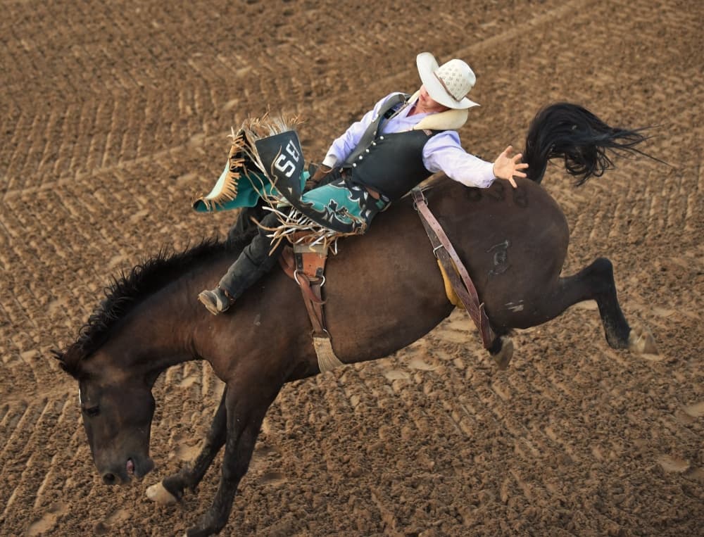 An image of a rodeo event. 