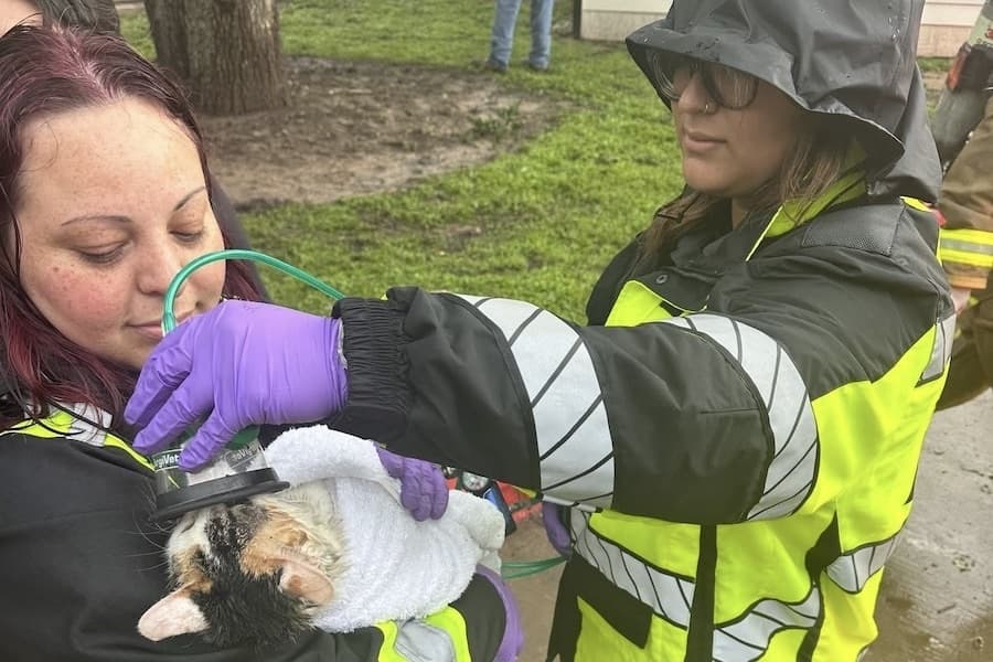 Harris County ESD 11 protects pets with oxygen masks