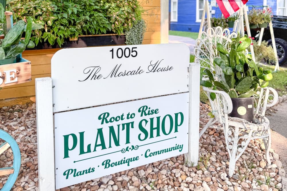 Root to Rise Plant Co. celebrates grand opening with weekend events