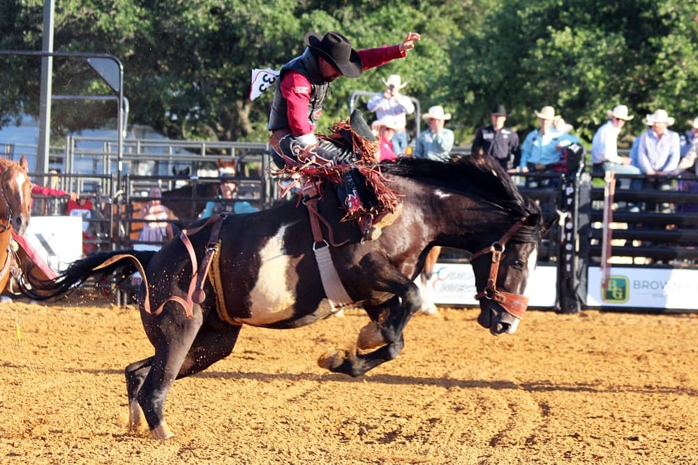 Male riding bareback in a rodeo. 