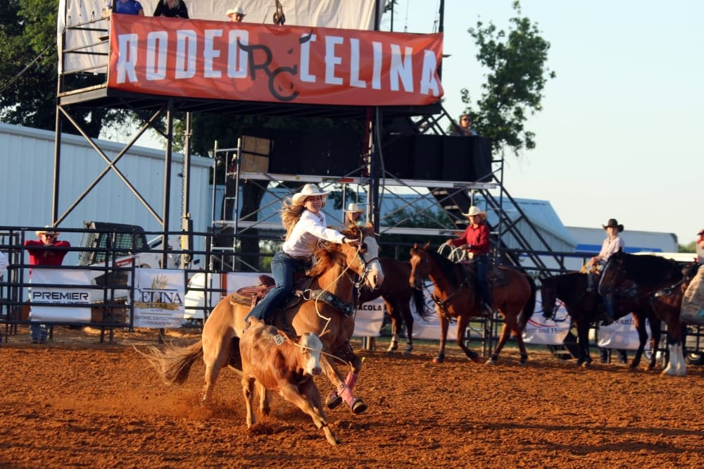 Female riding a horse in a rodeo while trying to lasso a calf. 