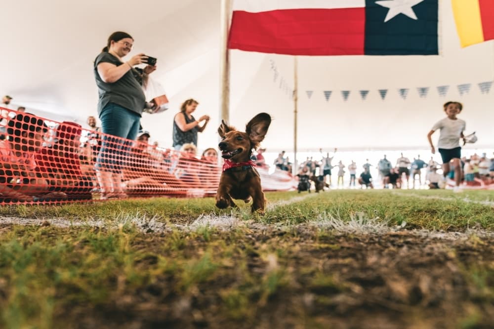 Second Annual Das Festival of Kendall planned for Father's Day weekend