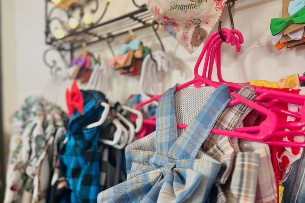 Dallas n’ Friends brings unique gifts, treats and more to Bastrop