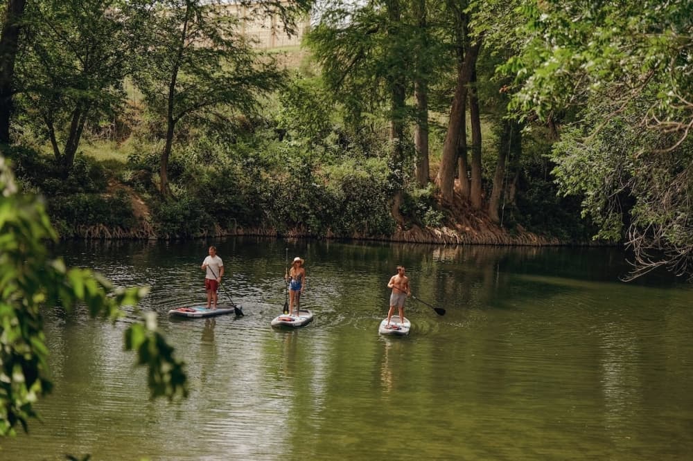 Three people enjoying a paddleboarding session on a river surrounded by lush greenery.