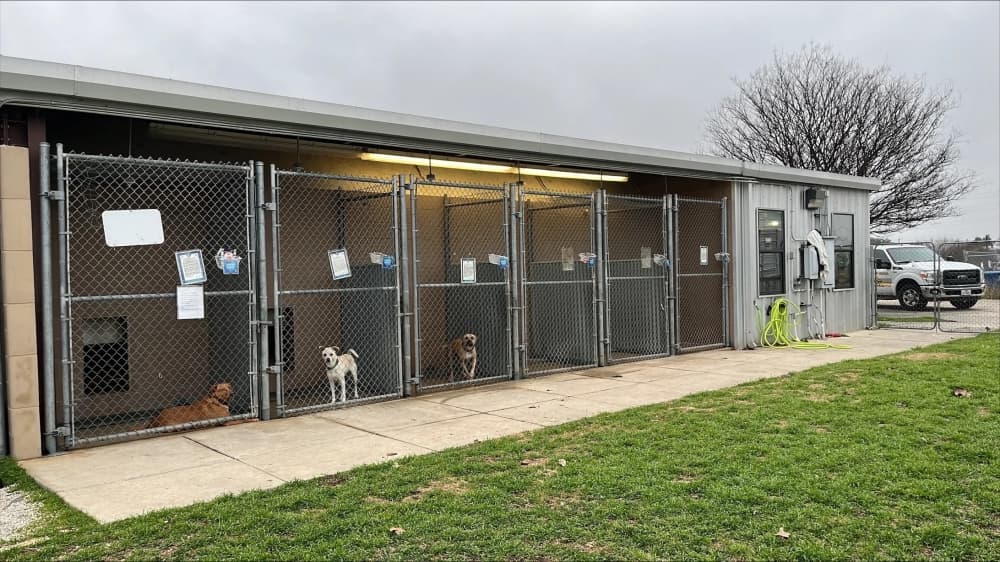 Cibolo City Council selects design firm for new animal services facility