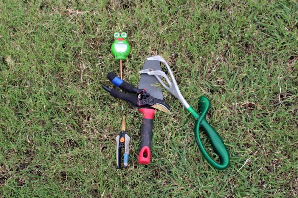 Gardening tools grouped together. 
