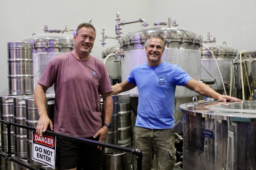 Mad Llama Brewing marks one year in Spring