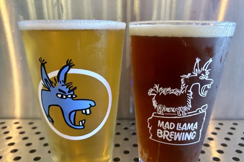 Mad Llama Brewing offers 12 rotating craft beers. (Courtesy Mad Llama Brewing)