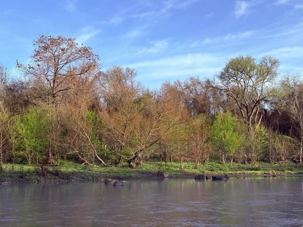 Bastrop plans $2.6 million river stabilization project