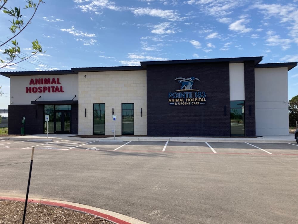 Pointe 183 Animal Hospital & Urgent Care now helping animals in Leander