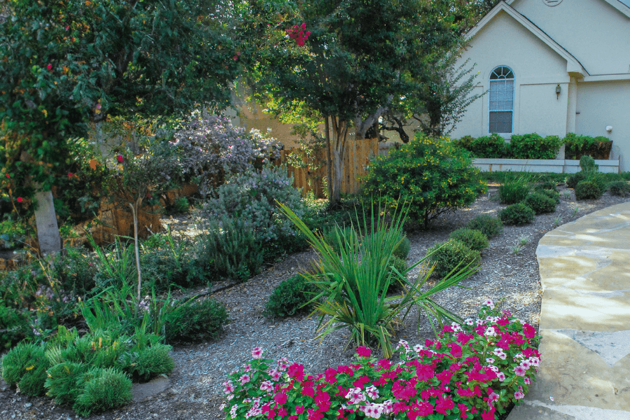 Landscaping that helps with Austin water conservation