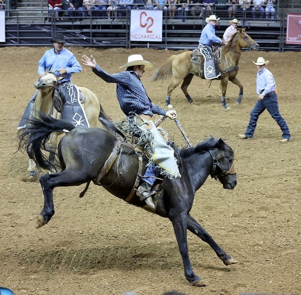 An image of the rodeo on a previous year. 