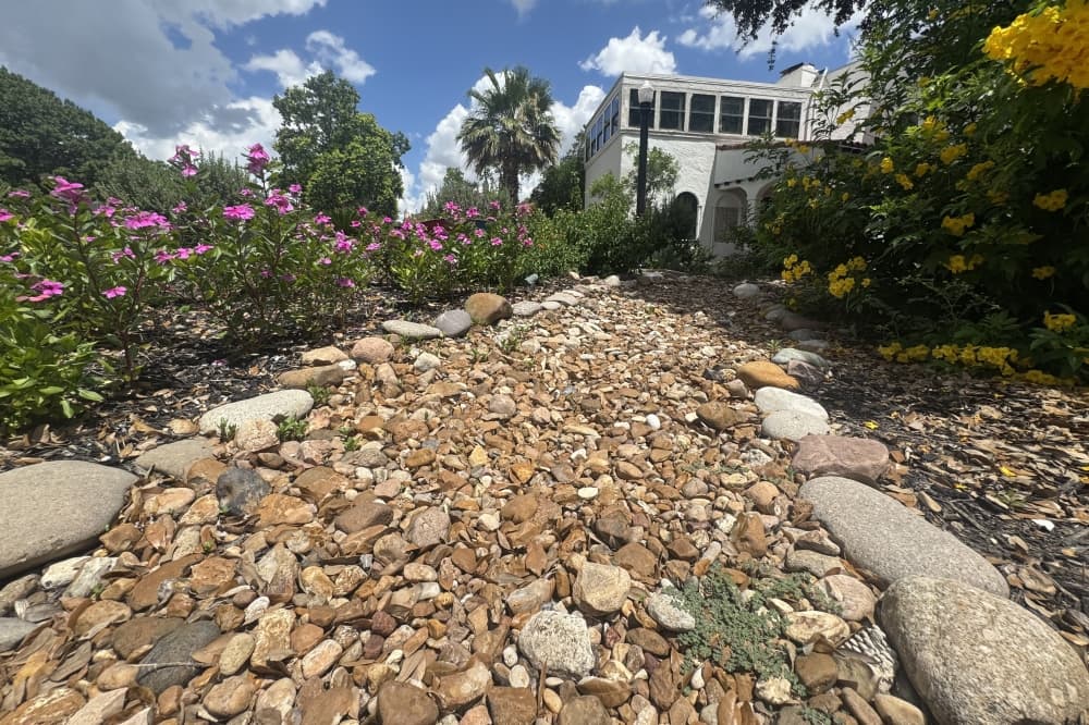 ICYMI: How cultivating local plants can help San Antonio residents save water; Bexar County funds community development projects