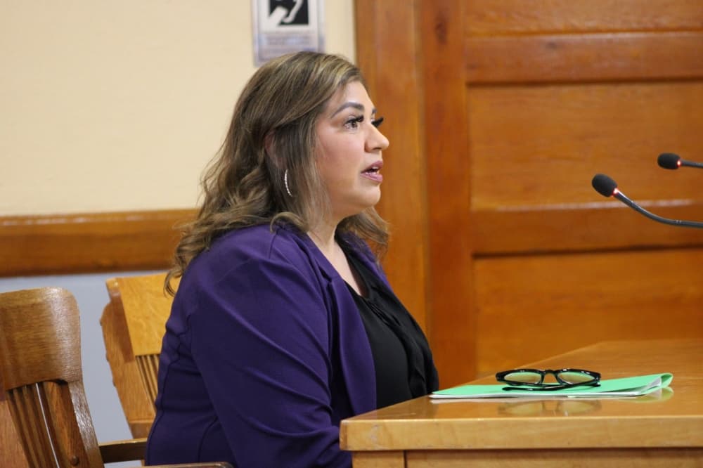 Williamson County Elections Administrator Bridgette Escobedo said she has no concerns about switching to the ballot on demand system, which will require voters to bubble in their voting preferences on a paper ballot. 