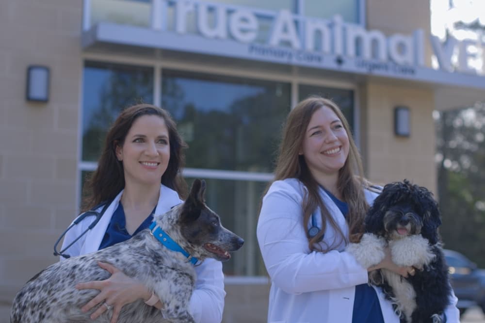 True Animal Vet plans to open at new Grand Oaks Shopping Center in Spring in 2026
